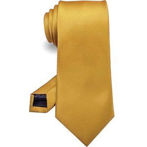 Gold Solid Color Tie Formal Necktie for Men